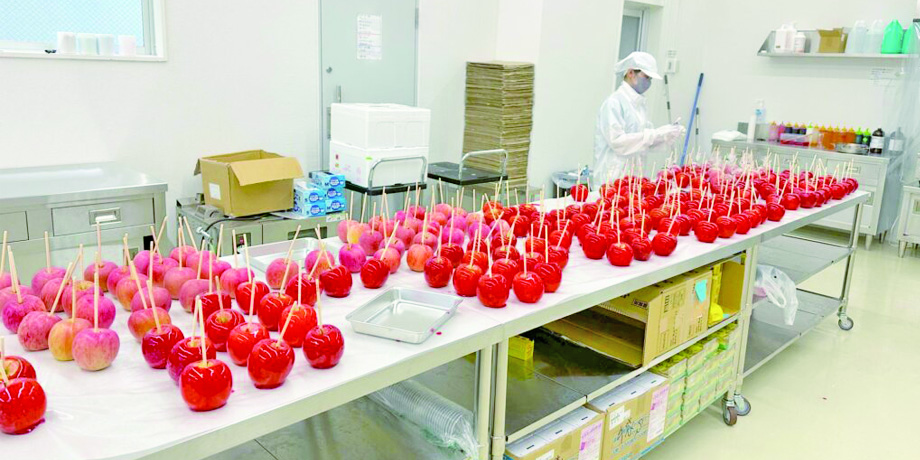 株式会社Fruits Factoryメイン画像3